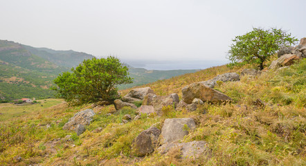 Scenic landscape of green hills and rocky mountains of the island of Sardinia in spring