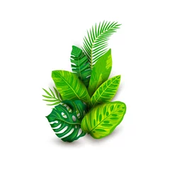 Photo sur Plexiglas Monstera Tropical exotic leaves vector illustration isolated on white background. Design element with shadow for poster, web, flyers, invitation, postcard, t-shirt design.