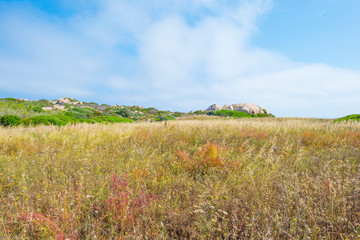 Scenic landscape of green hills and rocky mountains of the island of Sardinia in spring