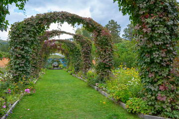 Fototapeta na wymiar Decorative arches in a beautiful garden