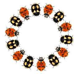 Beetles. Circular design with ladybugs (ladybird beetles) (Coleoptera: Coccinellidae). Isolated on a white background