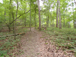 KODAK Digital Still Camera