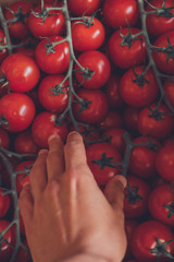 Vista en primera persona de una persona cogiendo tomates en un mercado
