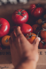 Vista en primera persona de una persona cogiendo tomates en un mercado