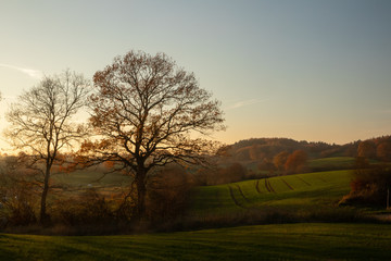 Fototapeta na wymiar rural hills landscape in fall