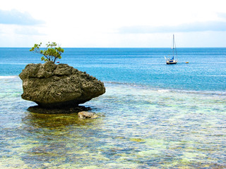 A tree on a rock and a small sailing boat anchored, seaview from Christmas Island, Indian Ocean, Australia territory.
