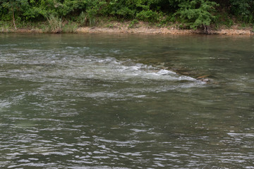 River side with rapids