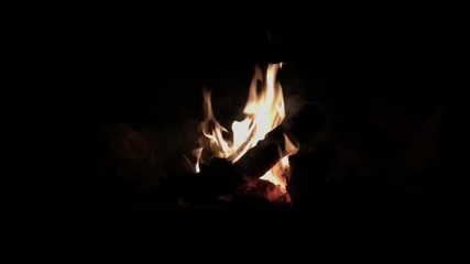 Campfire in complete darkness in the middle of the wilderness