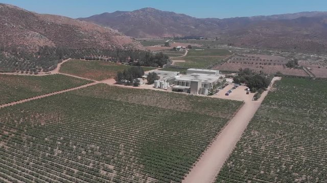 Fly over shot of a winery oasis in the desert