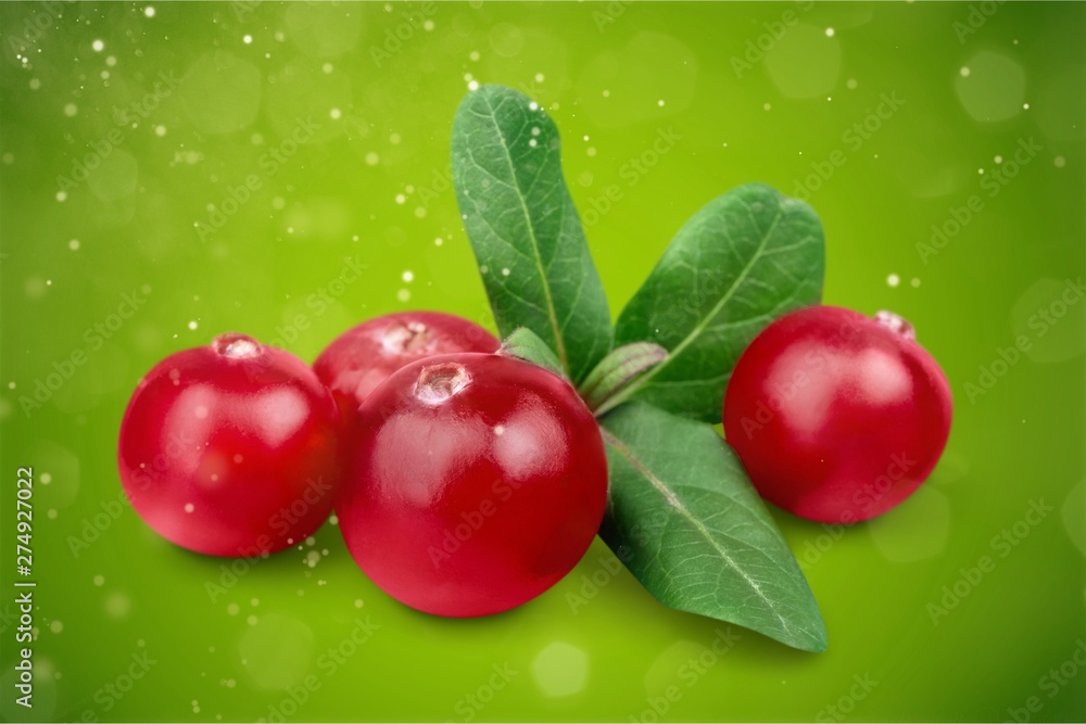 Canvas Prints Red cranberries isolated on background