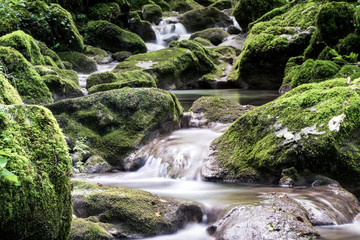 Creek waters running between rocks covered by moss photographed from the Kot waterfall trail. Concept of wilderness. Cividale del Friuli area, Udine province, Friuli Venezia Giulia region, Italy. © Marco