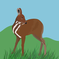 brown musk deer illustration on grenn grass - obrazy, fototapety, plakaty