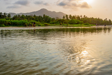A wide river flows through the tropical rainforest of South America at a beautiful sunset where...