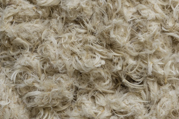 White goose feathers and fluff from pillows texture background