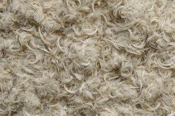 White goose feathers and fluff from pillows texture background