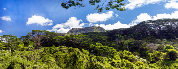 Kalihiwai Panorama