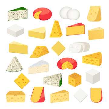 Vector different types of cheese detailed icons