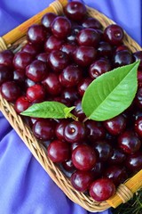 Fresh,sweet cherry berries in a wicker basket.