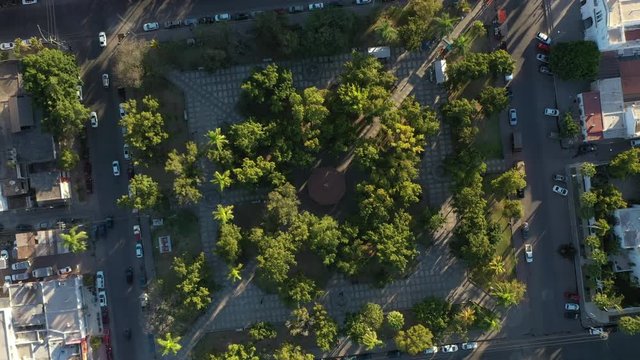 Aerial Drone View over a garden in Los Mochis, Sinaloa, Mexico