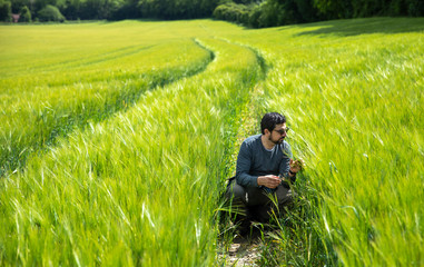 Naklejka na ściany i meble man in a field of wheat