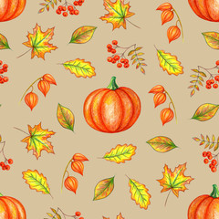 Autumn seamless pattern. Pumpkin leaves and berries. Illustration of hand drawing.