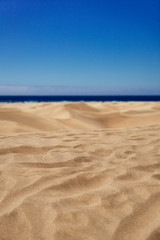 Fototapeta na wymiar Sandy dunes of maspalomas, Spain. Focus on the near sand. 