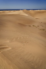 Fototapeta na wymiar Sandy dunes of Maspalomas, Spain, empty 