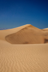 Fototapeta na wymiar Sand dunes in the desert, Maspalomas, Gran Canaria, Spain.