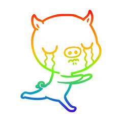 rainbow gradient line drawing cartoon pig crying