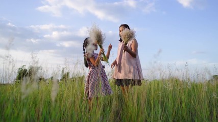 Asian families, mothers and daughters are in the flower field, together with the flower collection together happily.