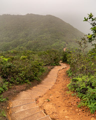 Fototapeta na wymiar Dragons Back Trail in Hong Kong