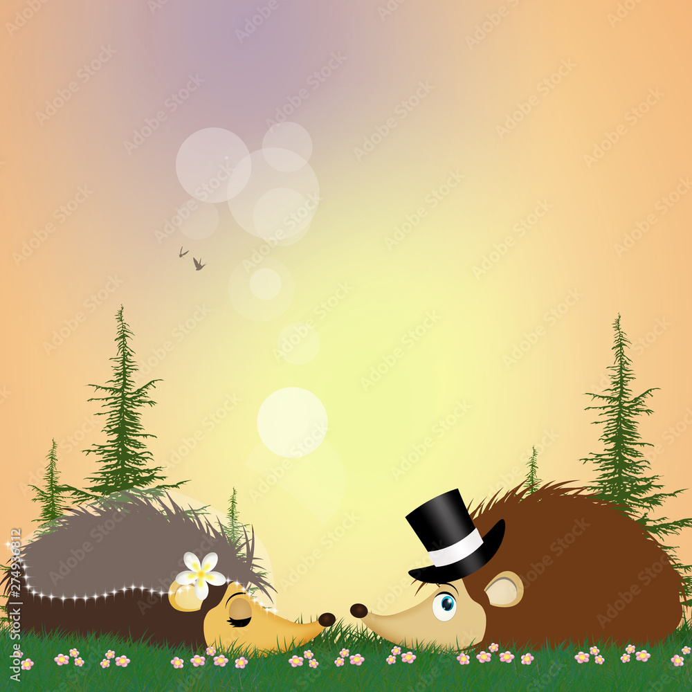 Canvas Prints two hedgehogs getting married