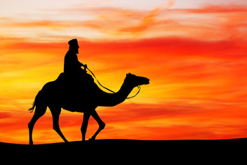 Arab man on camel at sunset
