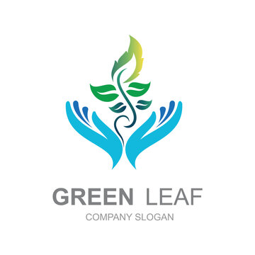 leaf logo with hand icon template, tree logo and medical icon 