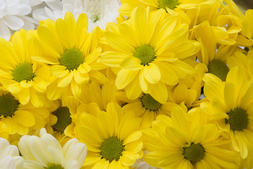 spring big bouquet of yellow and white flowers