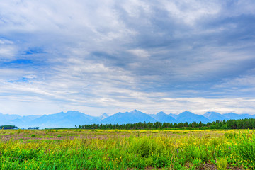 Picturesque summer landscape of mountain range with peaks, valley with green grass, grove and cloudy sky. Natural background with space for text. Eastern Sayan, Tunka National Park, Buryatia, Russia