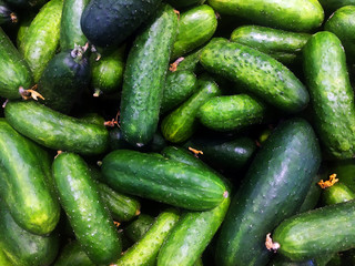 fresh cucumbers in the market