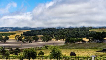 Ocean cloud rolls over the hills in Paso Robles