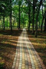 Alley, pathway in the city park in sunlight. Cobbled alley in the public  park. Green tree foliage. Nature outdoor vertical landscape with road, way, trees. Footpath in wood