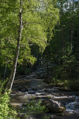 mountain river