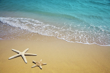 Fototapeta na wymiar Two starfish on a beach. Sand and sea wave.