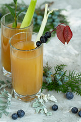 Homemade Fermented Raw Kombucha Tea Ready to Drink. Healthy natural biotic flavored drink. kombucha probiotic drink.