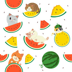 a set of part a watermelon and the cat pack. have full and slice of watermelon and watermelon that is bitten. and have a red color and yellow color.watermelon in cute flat vector style