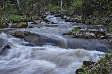 mountain river in the forest
