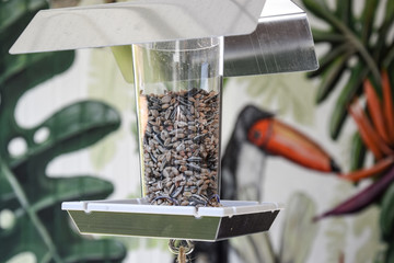 Futterspender für Vögel mit gemaltem tropischen Hintergrundmotiv © vectorworkers