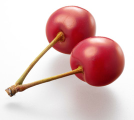 Sauerkirsche