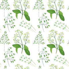 Seamless pattern of culinary and medicinal herbs. Watercolor botanical illustration.
