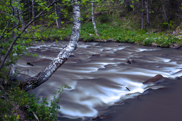 mountain river in the forest