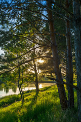 landscape with lake and trees
