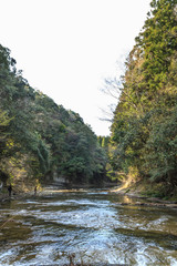 春の養老渓谷の中瀬遊歩道からみた風景